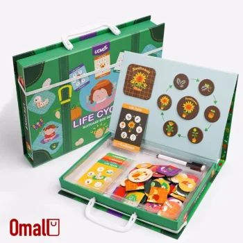 حقيبة دورة الحياة